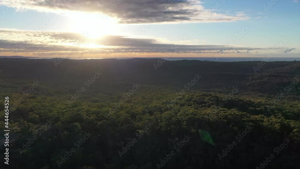 Aerial: Flying in a rightward arc over thick forest and bushland during sunrise in Sydney, Australia Aerial: Flying in a rightward arc over thick forest and bushland during sunrise in Sydney, Australia