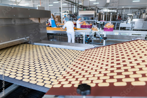 Confectionery industry. Shop for the production of biscuits. Conveyor line with biscuits. Women packers pack the finished product. 