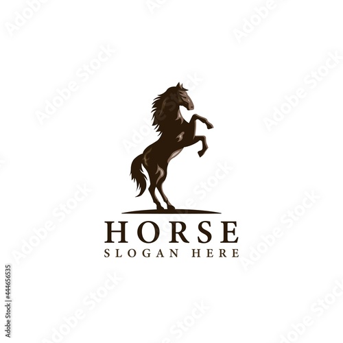 Horse image in classic minimal style. Badge Vector illustration.