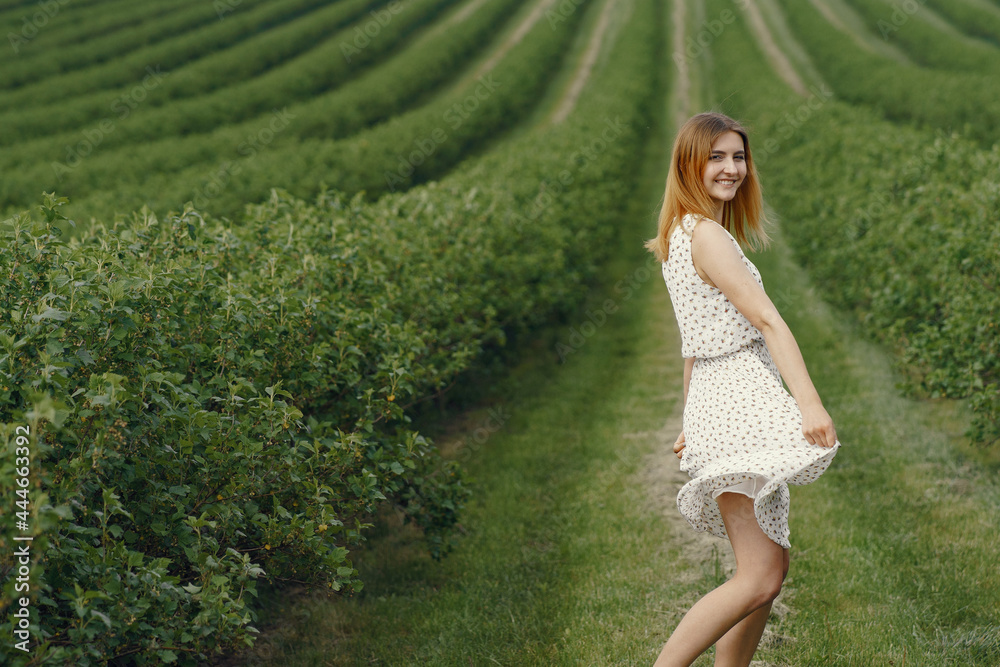 Elegant and stylish girl in a summer field Elegant and stylish girl in a summer field