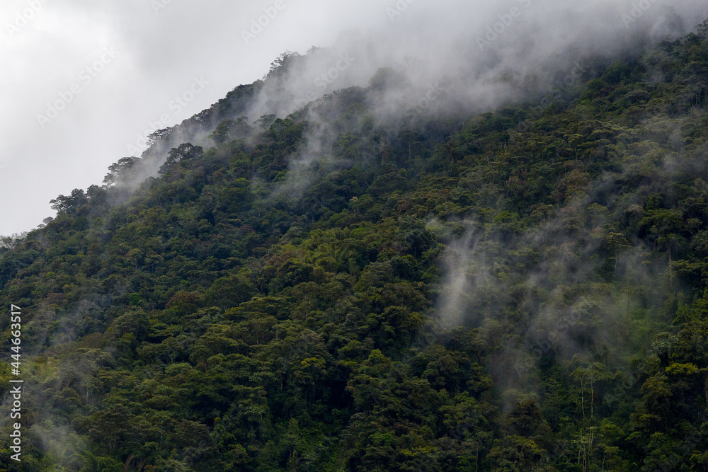 Low clouds forming on the forested mountainside on the highway of the waterfalls, near Baños, Ecuador