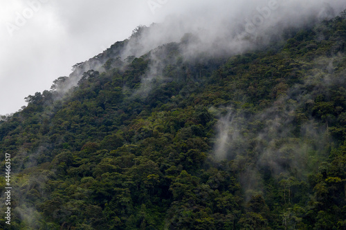 Low clouds forming on the forested mountainside on the highway of the waterfalls, near Baños, Ecuador