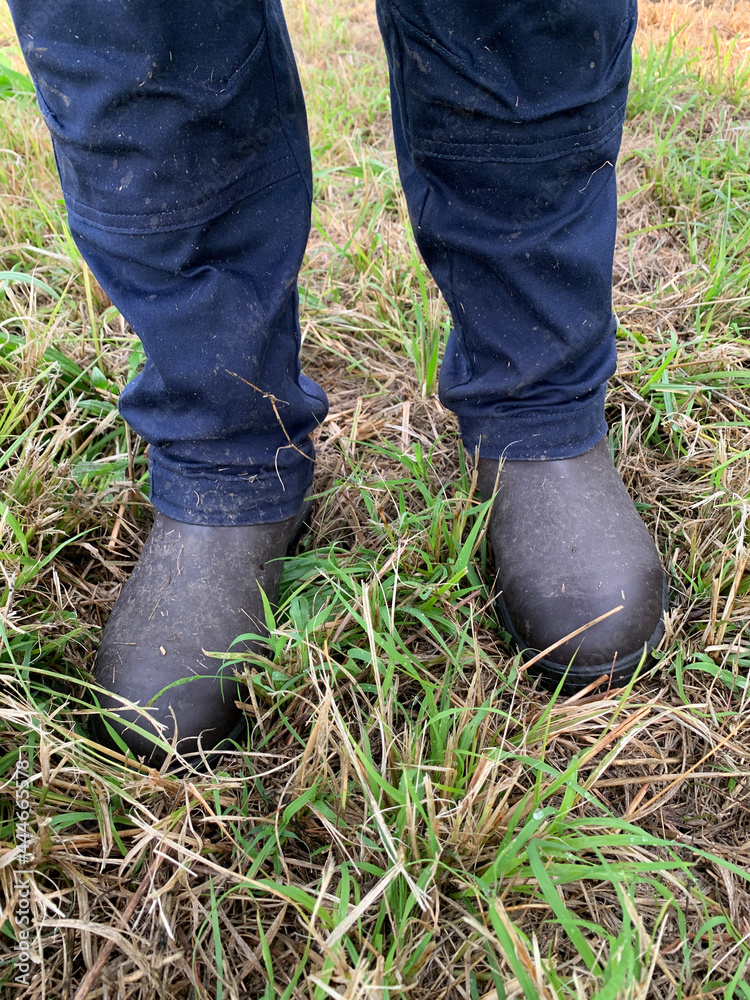 Closeup of tough safety work boots in green grass with blue work pants