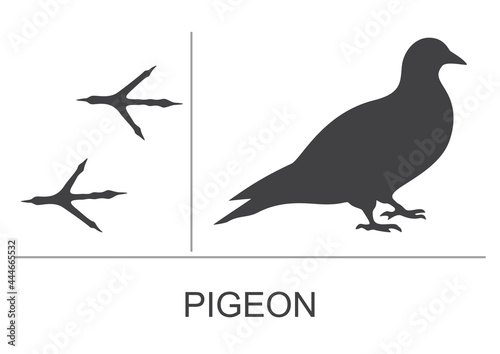 Silhouette and footprints of a pigeon. Vector illustration.