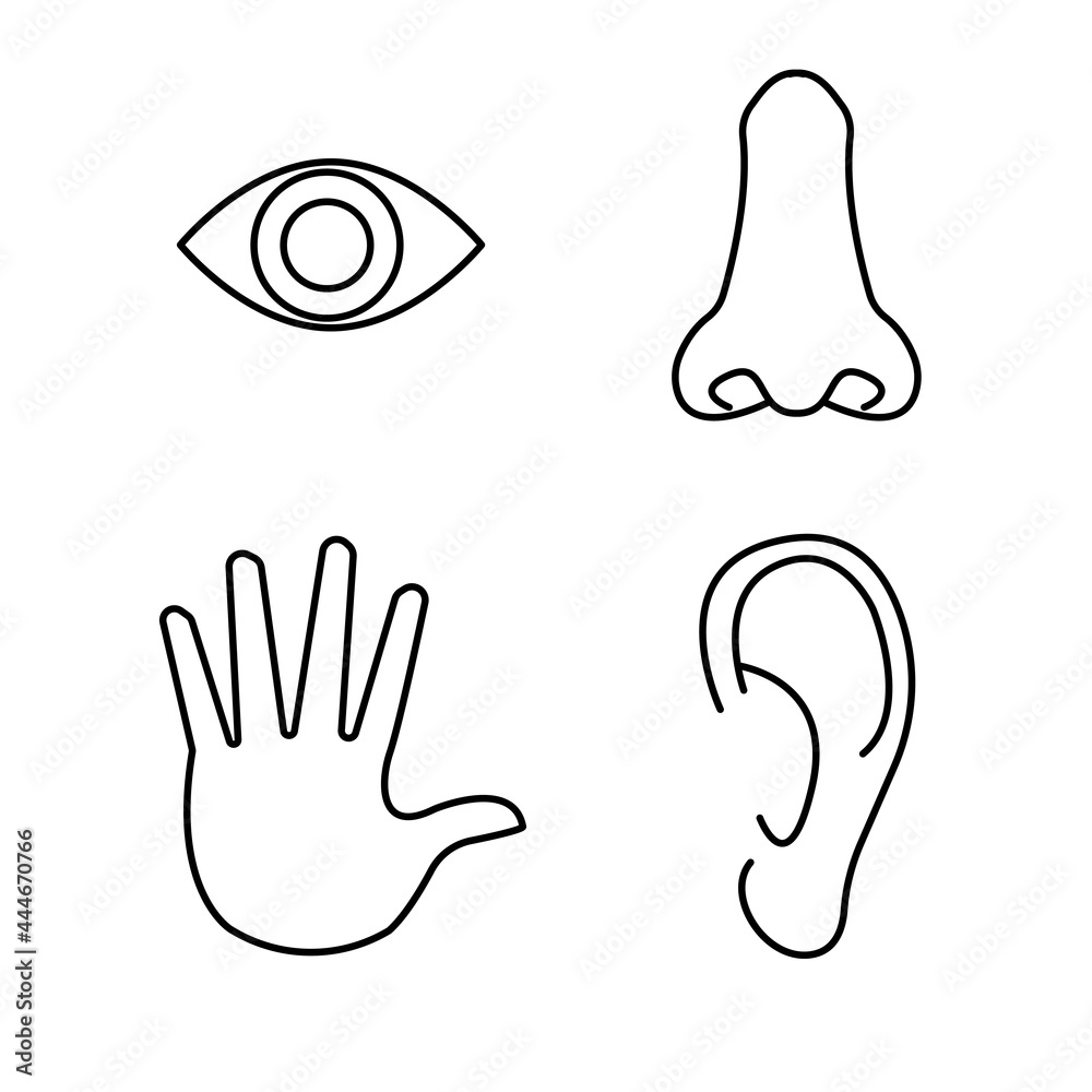 Fototapeta premium human senses: vision, smell , hearing,touch, taste