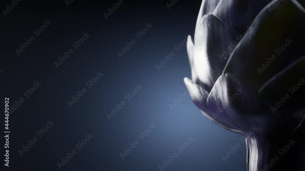 Macro close-up of artichoke leaves, realistic 3d animation. Macro close-up of artichoke leaves, realistic 3d animation.