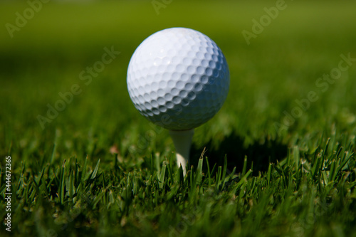 Golf ball in grass. Golf ball is on tee on green grass background.