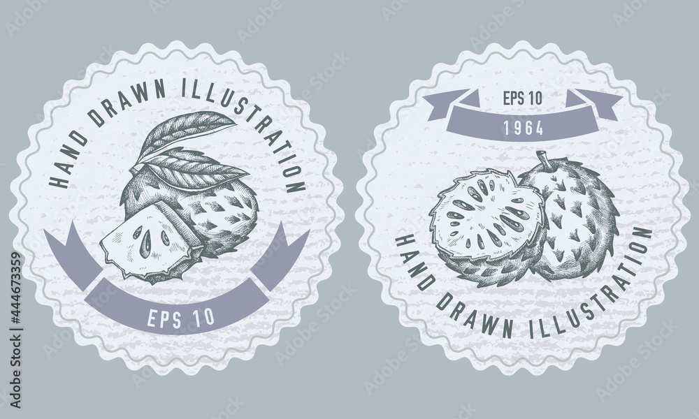 Fototapeta premium Monochrome labels design with illustration of soursop
