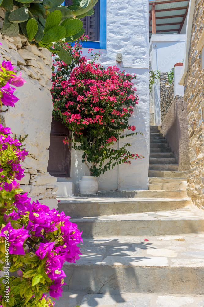 Traditional cycladitic   alley with narrow street, whitewashed  houses and a blooming bougainvillea, in ano Syros Greece