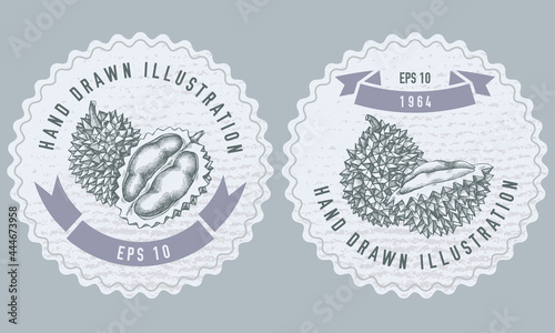 Monochrome labels design with illustration of durian