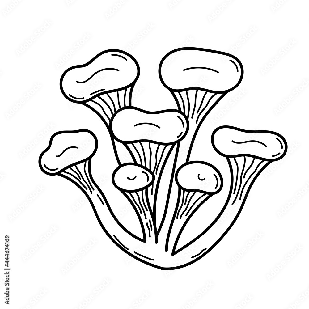Cute mushroom in doodle style. Poisonous mushroom. Vector isolated hand illustration for coloring pages, sketch, outline Cute mushroom in doodle style. Poisonous mushroom. Vector isolated hand illustration for coloring pages, sketch, outline