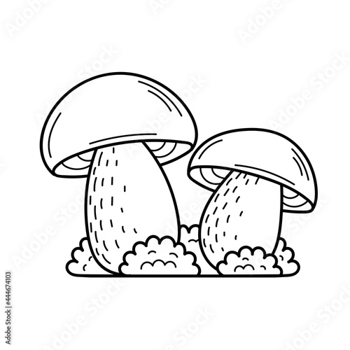 Cute edible mushroom in doodle style. Ingredients for cooking, salads. Autumn plant harvesting. Vector isolated hand drawn illustration for coloring pages, sketch, outline