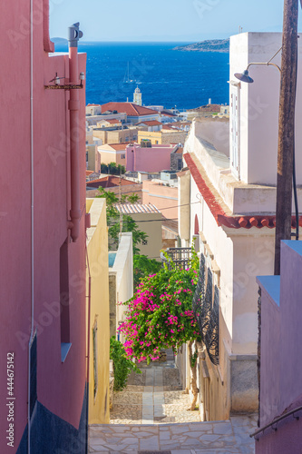 scenic view of a colorful bougainvillea tree, traditional houses and the agean sea as a background in Ermoupolis, Syros island, Greece