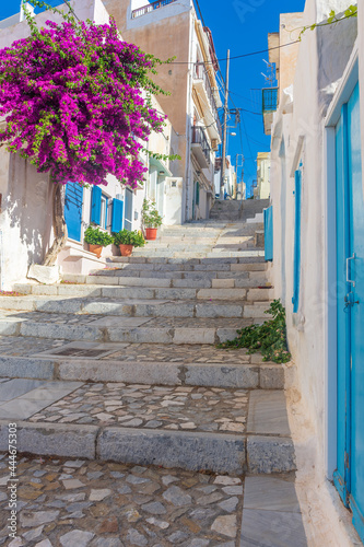 Street view of traditional houses and a colorful bougainvillea tree in Ermoupolis, Syros island, Greece