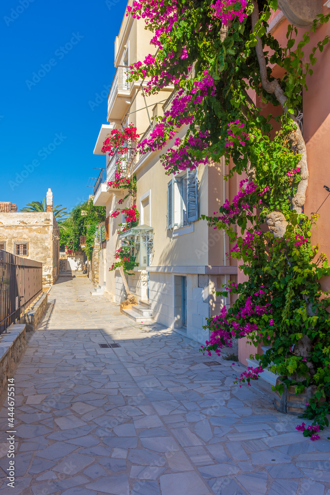 Naklejka premium Street view of traditional houses and a colorful bougainvillea tree in Ermoupolis, Syros island, Greece