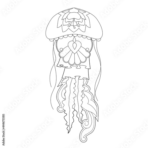 Contour linear illustration with jellyfish for coloring book. Cute jelly fish, anti stress picture. Line art design for adult or kids  in zentangle style and coloring page.