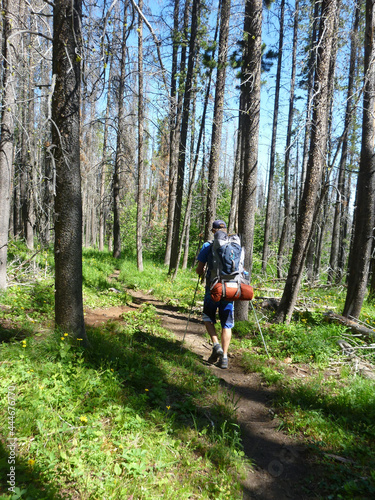 A hiker with a backpack on the Continental Divide Trail in Montana