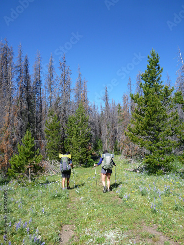 Two hikers with backpacks on the Continental Divide Trail in Montana