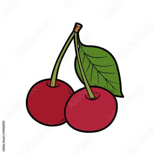 Two cherries on one stalk with leaf color variation for coloring page isolated on white background