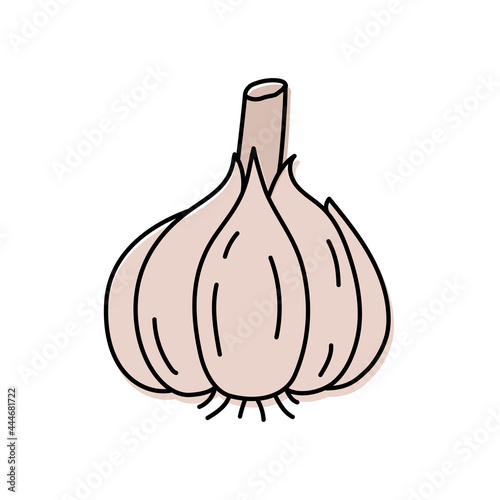 Garlic. Vegetable sketch. Color simple icon. Hand drawn vector doodle illustration