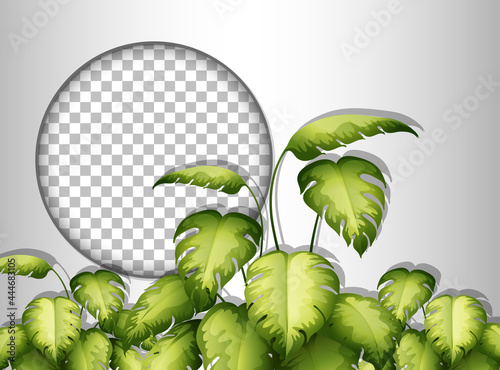 Round frame transparent with tropical leaves template