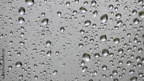 Wallpaper Mural Krople deszczu na szybie Torontodigital.ca