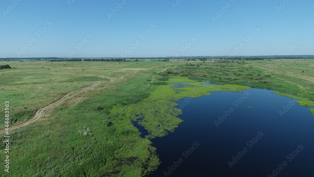 Aerial view of the lake among meadows on a sunny summer day