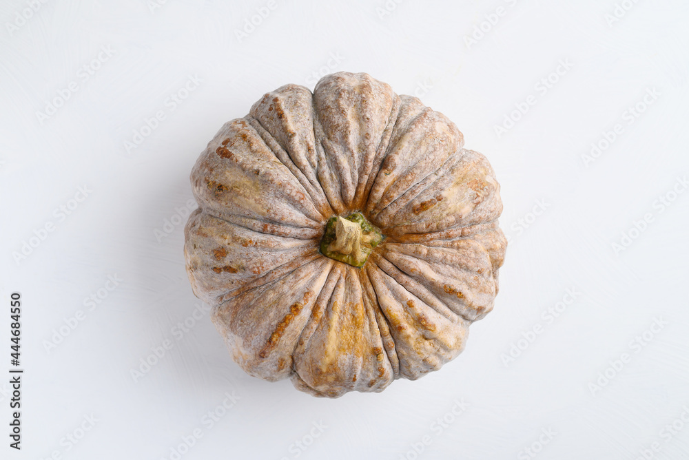 Close up of organic pumpkin on white background Close up of organic pumpkin on white background