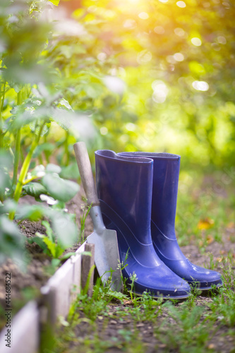 Rubber boots, scoop and tools after gardening among beds