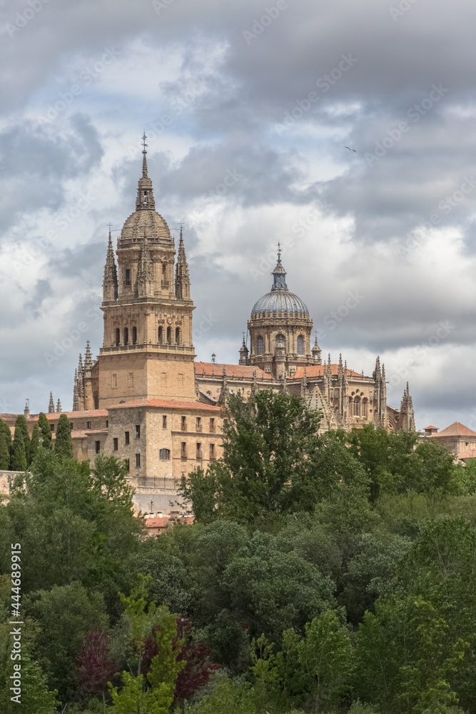 Amazing view at the gothic building at the Salamanca cathedral tower cupola dome and University of Salamanca tower cupola dome, surrounding vegetation