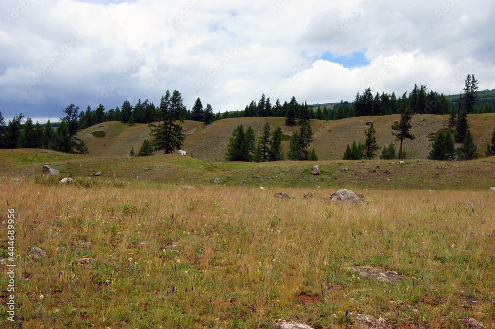 Valley in mountain altai year daytime landscape Valley in mountain altai year daytime landscape