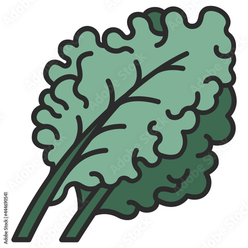 kale icon