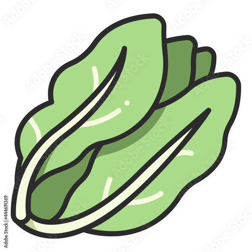 lettuce icon