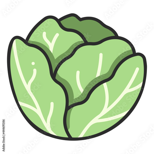 cabbage icon