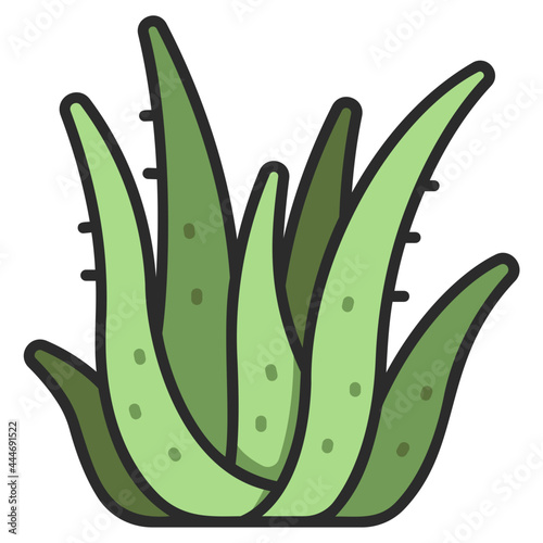 aloe vera icon