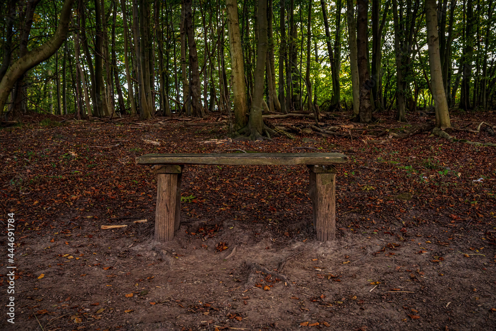 A wooden bench in the forest near Schwirenz, Mecklenburg-Western Pomerania, Germany A wooden bench in the forest near Schwirenz, Mecklenburg-Western Pomerania, Germany