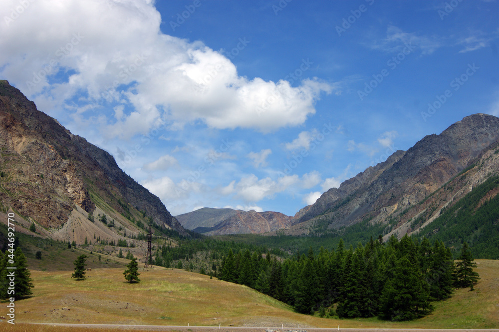 Bright colorful landscape of the high mountains and wood