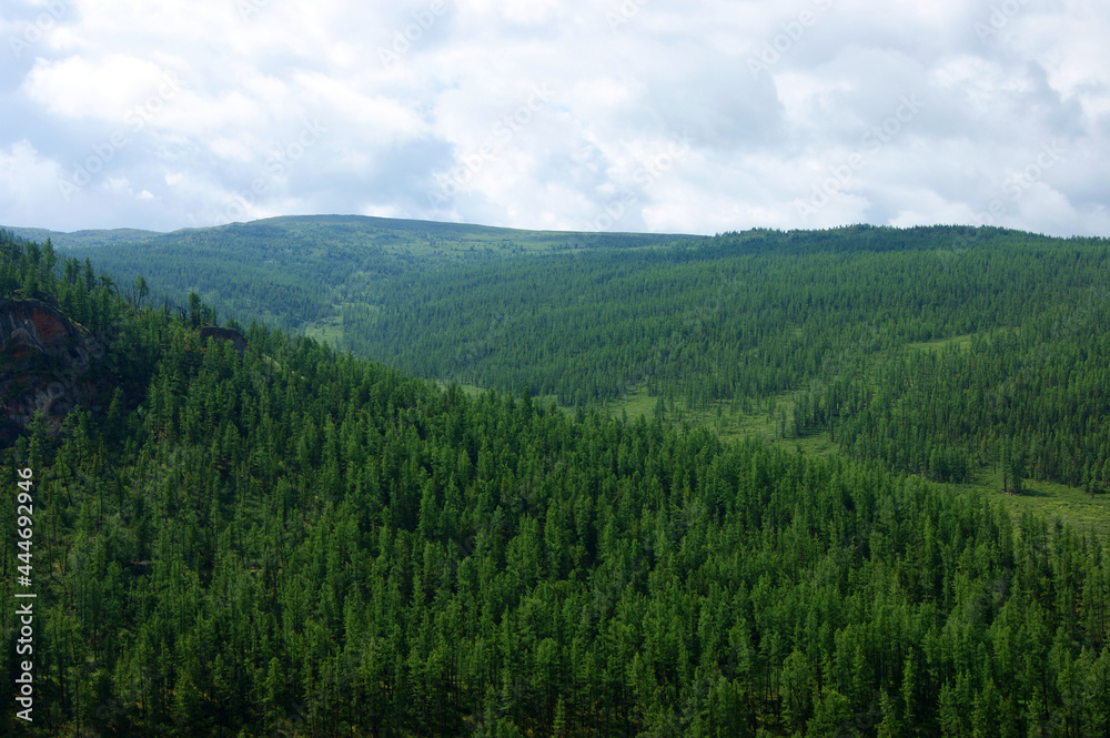 Landscape of the mountains covered by wood year daytime