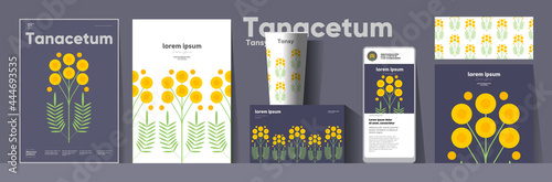 Flowers and plants. Tanacetum. Corporate identity. Set of vector illustrations. Floral background pattern. Design of cup, poster, banner, packaging, price tag and cover.