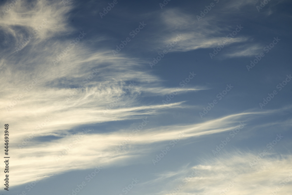 Layer filaments of cirrus clouds against a blue sky Layer filaments of cirrus clouds against a blue sky