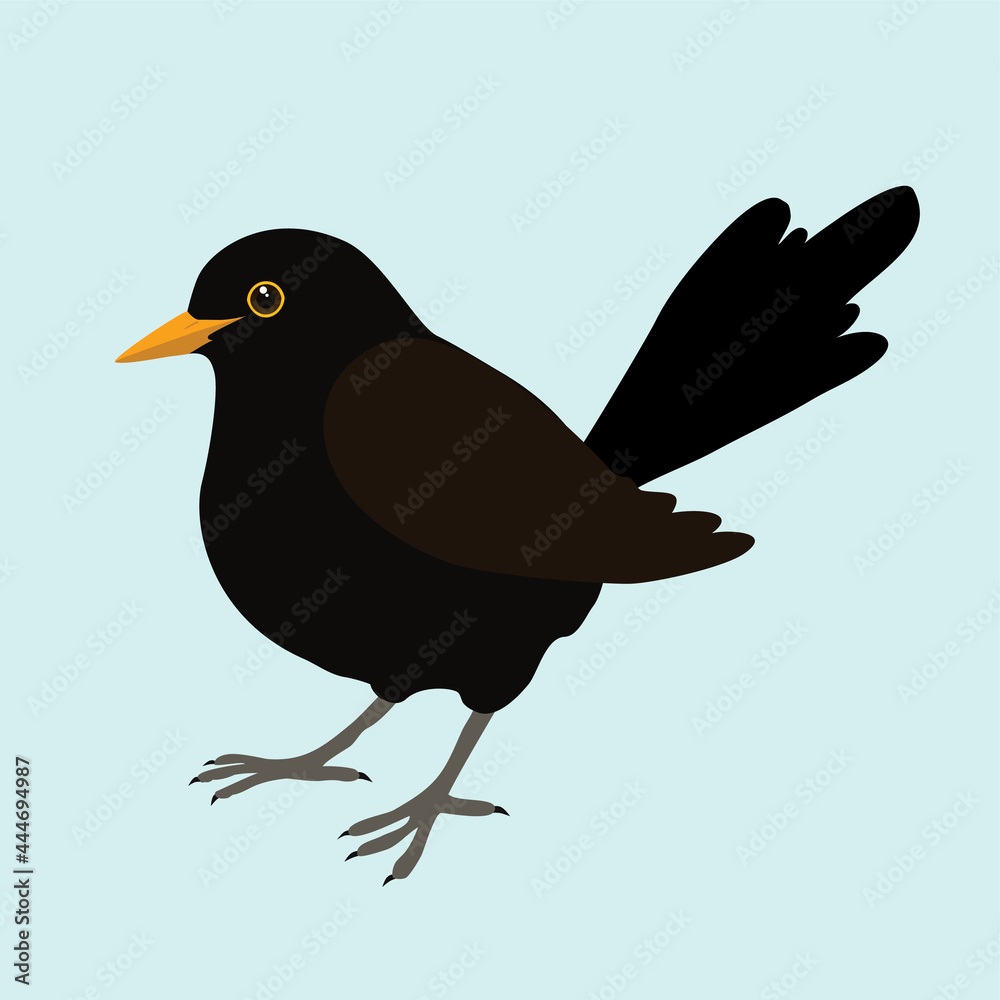 Print
An illustration of a blackbird. It's a male bird and the background is pale blue. The bird is cut out. - obrazy, fototapety, plakaty 