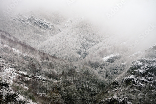 Snowy and foggy atmosphere on a gray and cold winter day in the forested mountains photo