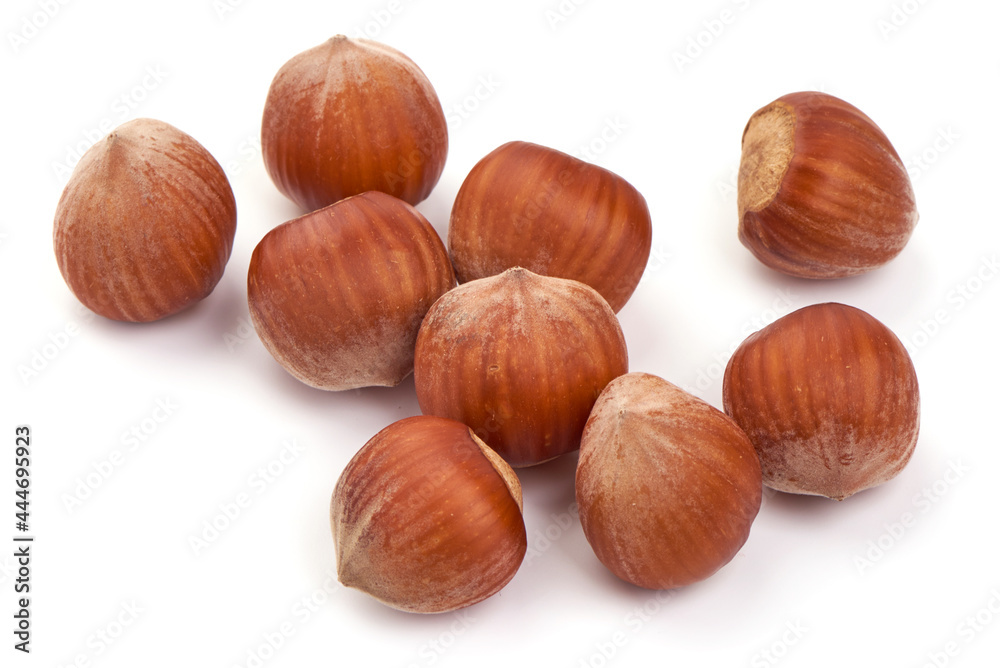 Natural Organic hazelnuts, isolated on white background. Natural Organic hazelnuts, isolated on white background.