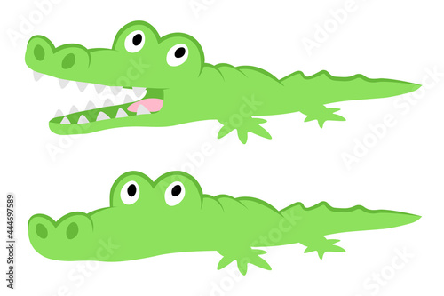 Crocodile cartoon illustration with close and open jaws little cute green animal