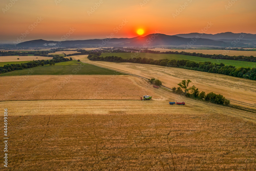 Wheat crop harvest. Aerial view of combine harvester at work during harvest time. Agriculture background.