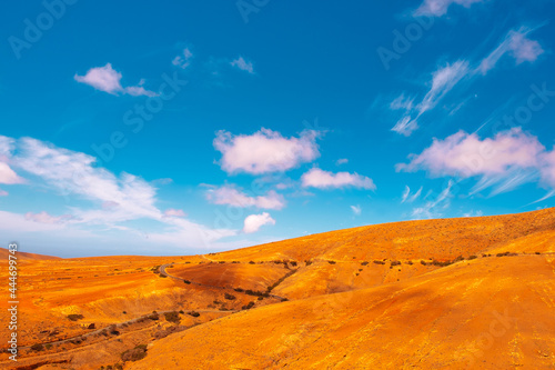 Volcanic desert .panoramic landscape. Stylish nature banner. Travel concept. Canary islands. Fuerteventura