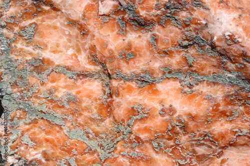 Pink gypsum rock close up at Penarth, UK