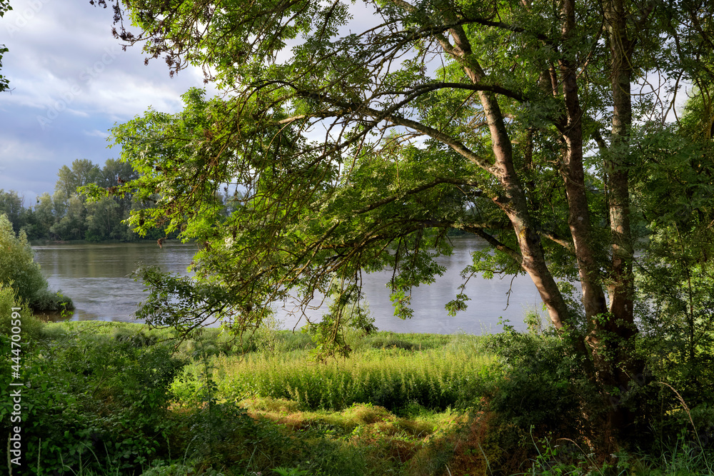 Loire river bank near Chateauneuf-sur-Loire village