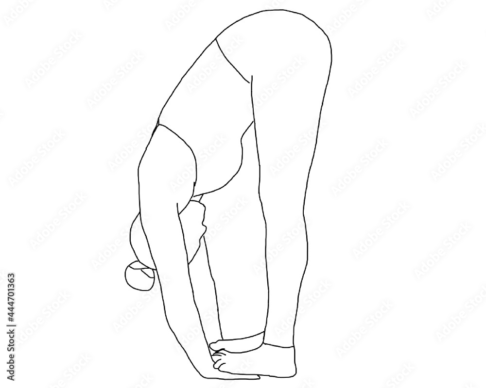 yoga, padahastasana, hand to/under foot pose yoga, padahastasana, hand to/under foot pose