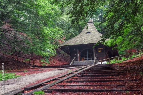 Chapel of St. Roch in Krasnobród, Roztocze, Poland. Beautiful wooden sacral building situated on a hill between trees.